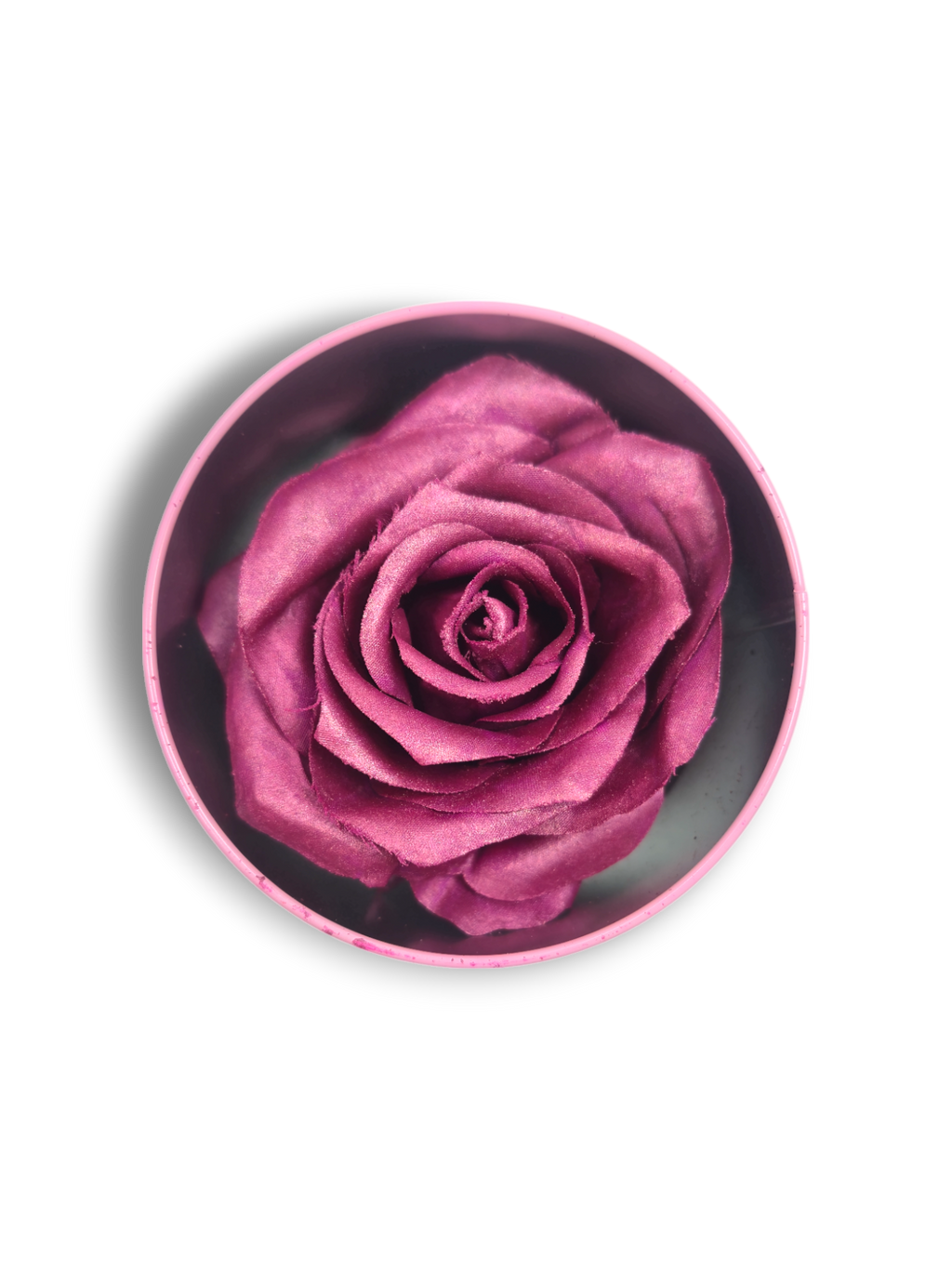 Blush Rosa Brillante - La Rosa dei Colori