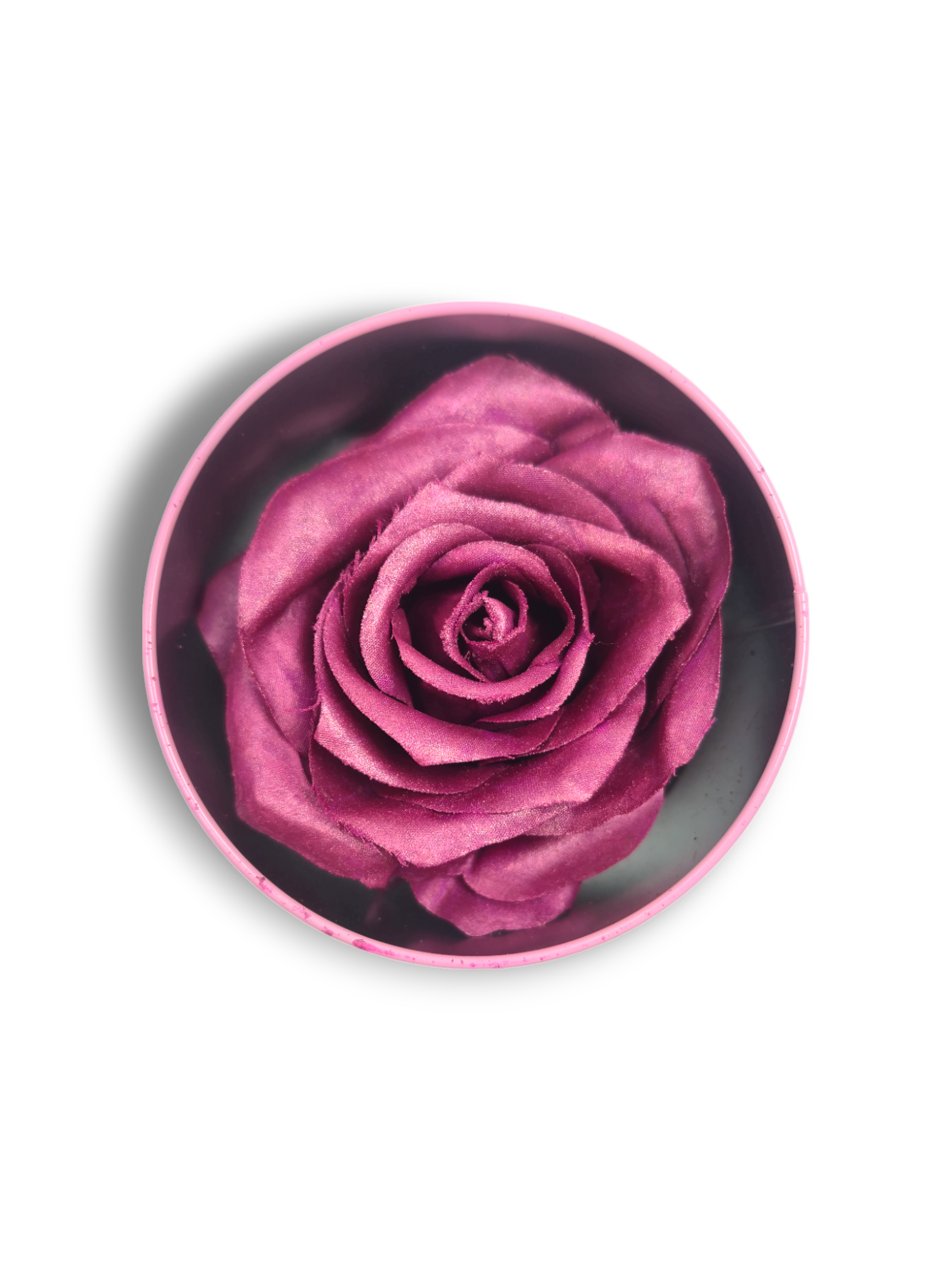 Blush Rosa Brillante - La Rosa dei Colori