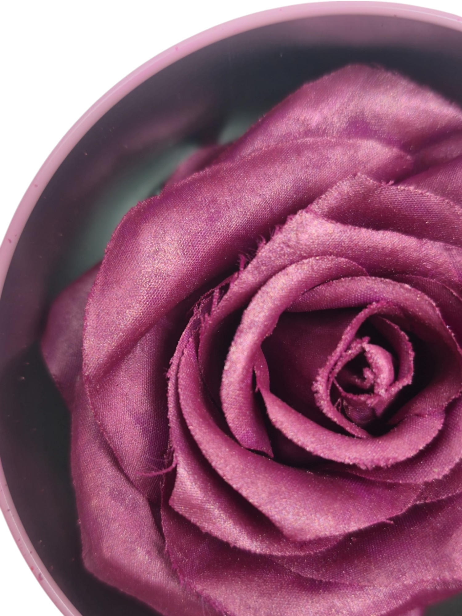 Blush Rosa Brillante - La Rosa dei Colori