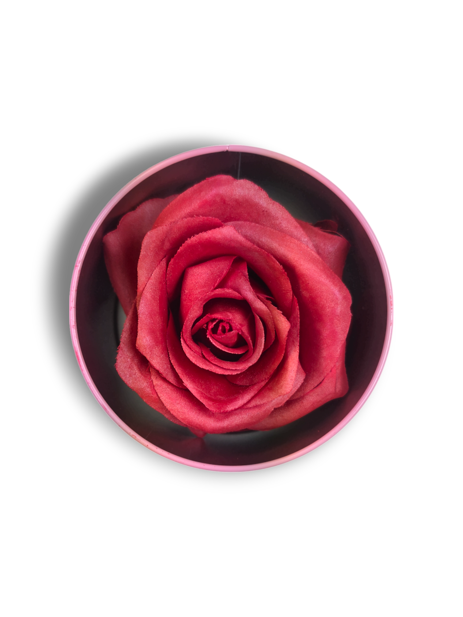 Blush Rosa Brillante - La Rosa dei Colori