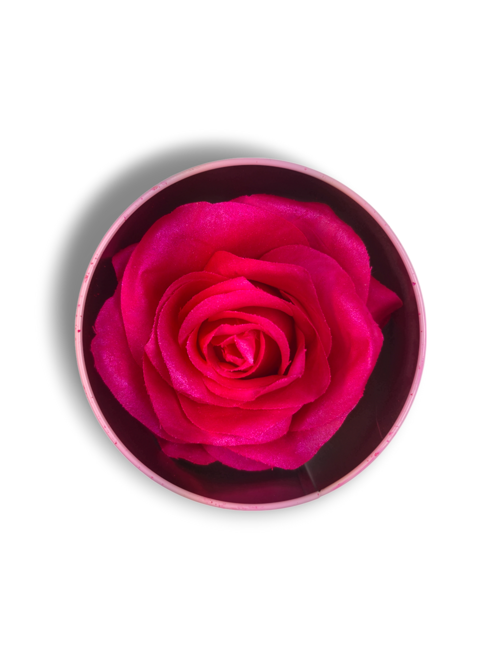 Blush Rosa Brillante - La Rosa dei Colori