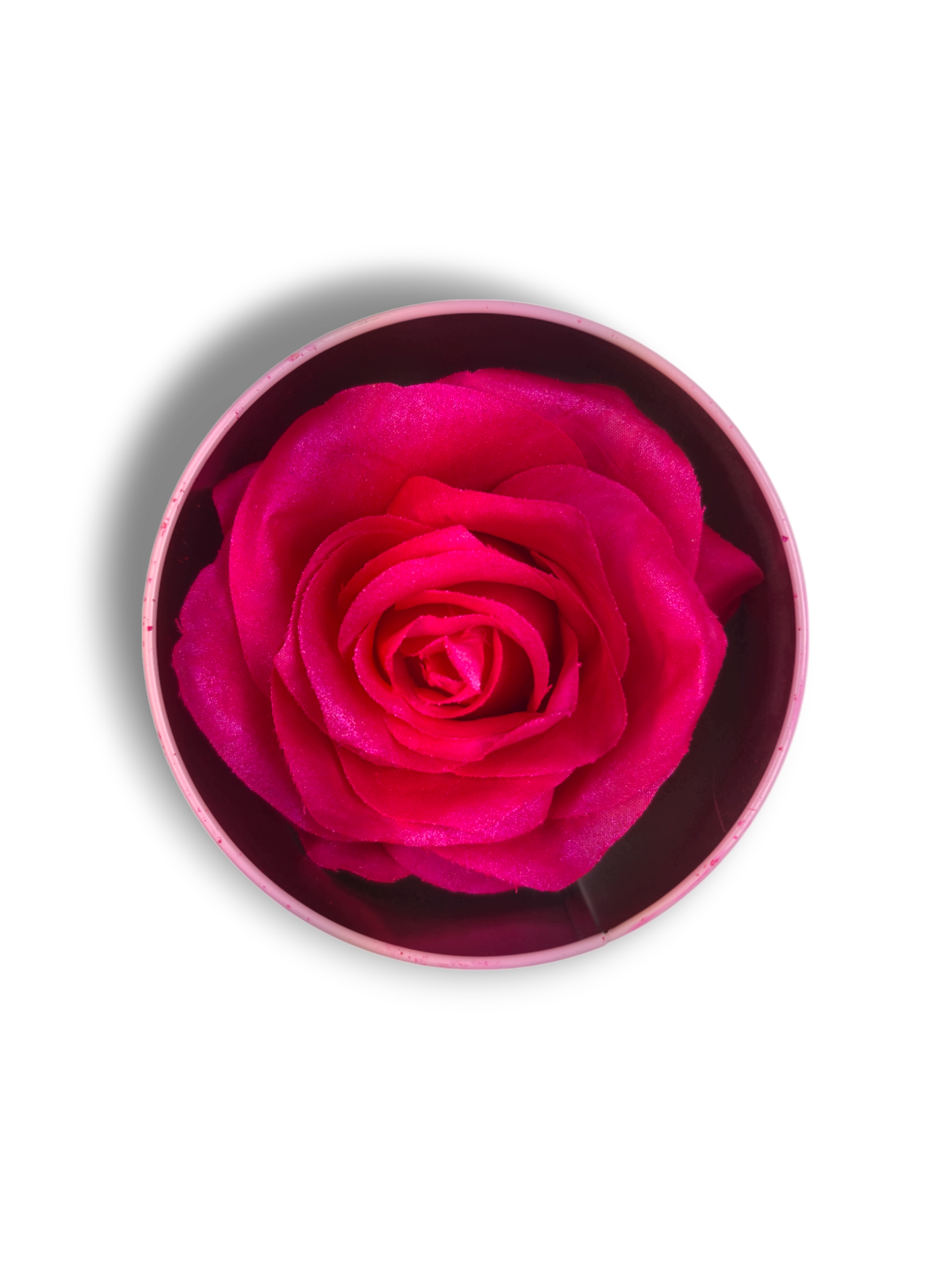 Blush Rosa Brillante - La Rosa dei Colori