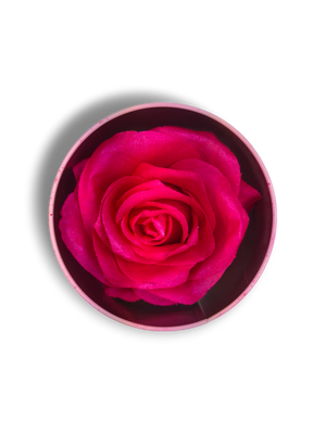 Blush Rosa Brillante - La Rosa dei Colori